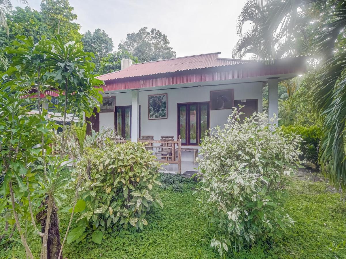 Oyo 90988 Tangkoko Jungle Homestay Rinondoran Bagian luar foto
