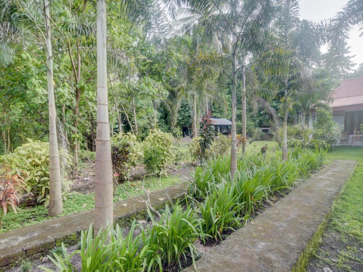 Oyo 90988 Tangkoko Jungle Homestay Rinondoran Bagian luar foto