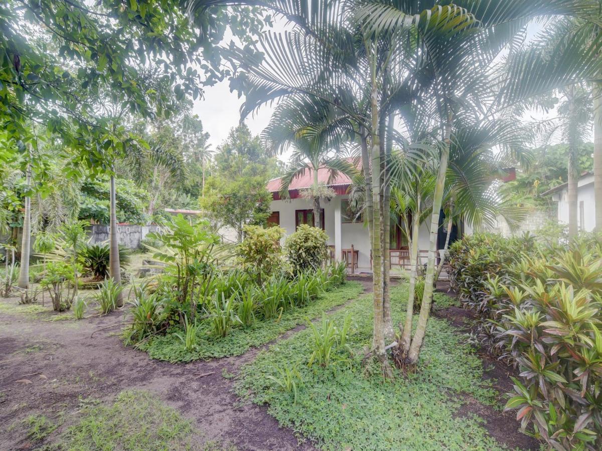 Oyo 90988 Tangkoko Jungle Homestay Rinondoran Bagian luar foto