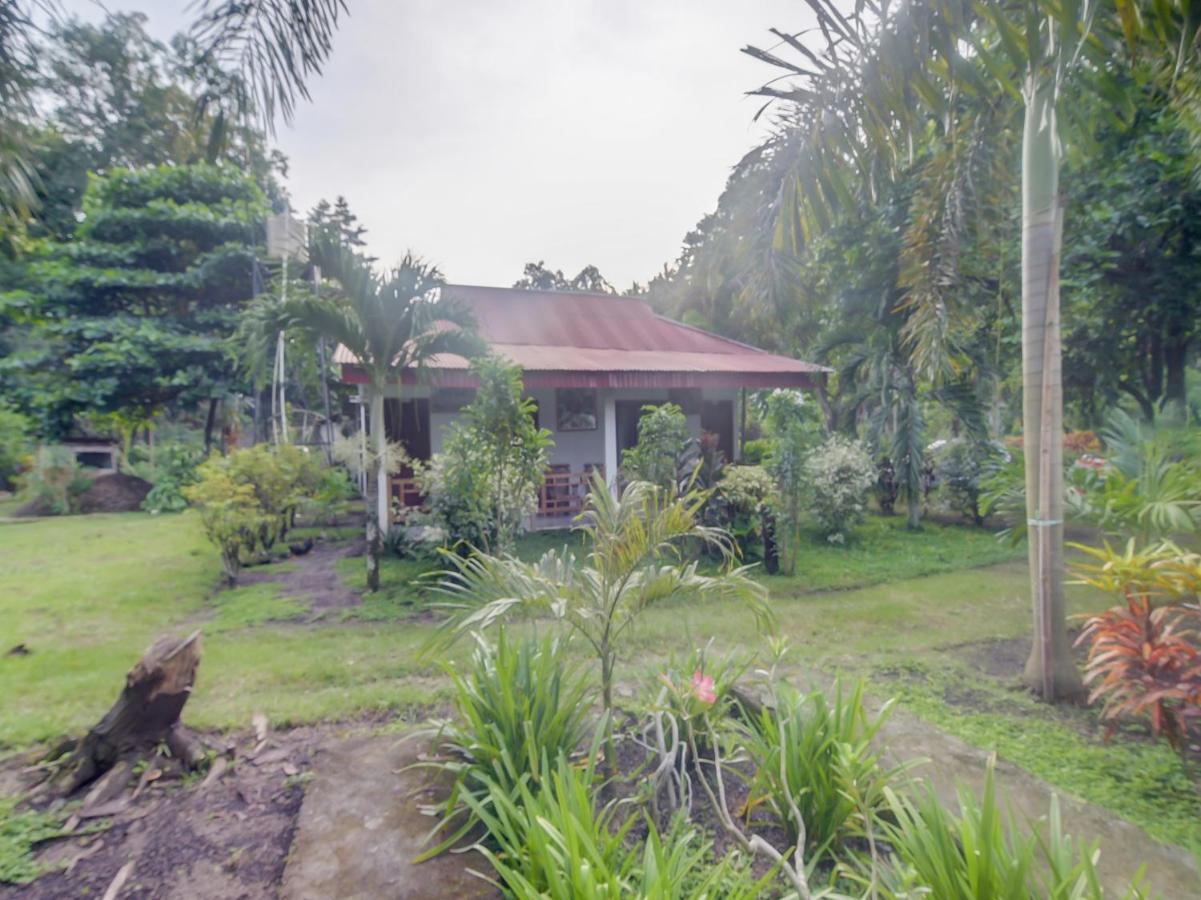 Oyo 90988 Tangkoko Jungle Homestay Rinondoran Bagian luar foto